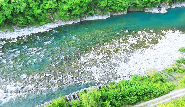 高知県の水源を守る CO2削減の取り組み